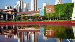  蘇州中學(xué)園區(qū)校西馬國(guó)際課程，一文帶你看詳情！