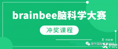 BrainBee競(jìng)賽為何值得參加？BrainBee培訓(xùn)課程推薦