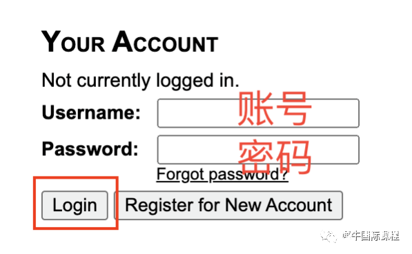 USACO考試怎么報(bào)名？競(jìng)賽報(bào)名流程圖解！