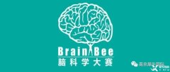 Brain Bee競(jìng)賽如何報(bào)名？地區(qū)/全國(guó)/國(guó)際賽事都考什么？