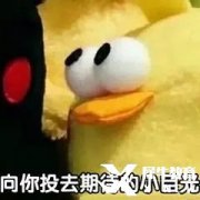 FBLA商科競(jìng)賽開(kāi)始報(bào)名！FBLA競(jìng)賽精品小班課報(bào)名中！