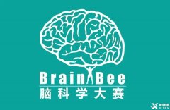 Brainbee腦科學競賽含金量高嗎？犀牛Brainbee競賽沖刺基礎班報名中~