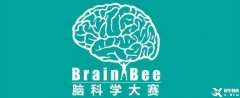 北上廣深牛娃都在參加的brainbee腦科學(xué)競賽是什么？普娃能參加嗎？