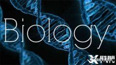 IGCSE生物考什么知識點？有相關(guān)的課程輔導嗎？附IG生物教材下載