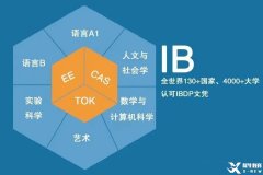 太全了！一文詳解IB課程體系！附9-12年級IB升學時間軸