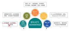 ALEVEL課程學(xué)習(xí)：國際學(xué)校及全日制脫產(chǎn)機(jī)構(gòu)對(duì)比~