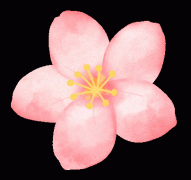 沖藤校孩子的7-12年級規(guī)劃，涉及語言+國際競賽+GPA規(guī)劃思路
