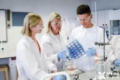 IGCSE生物和Alevel生物如何銜接?犀牛IG/AL考前沖刺班怎么安排？