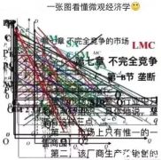 IG經(jīng)濟(jì)學(xué)什么？學(xué)習(xí)內(nèi)容及輔導(dǎo)課程推薦~