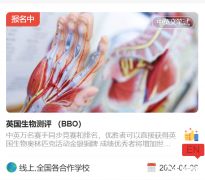 怎么備考BBO競賽，考試時間及備考規(guī)劃介紹！