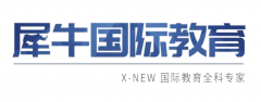 不學(xué)IGCSE可以學(xué)ALEVEL嗎？IGCSE優(yōu)勢分析~