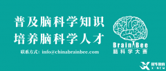 2025BrainBee腦科學大賽開始報名！BrainBee報名考試時間/報名方式/考試大綱奉上！