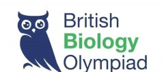 BBO競賽難度分析，BBO培訓課程名師推薦！