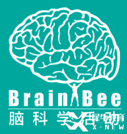 2025年Brain Bee全國賽即將開考！點(diǎn)擊下載Brain Bee參考書及真題！