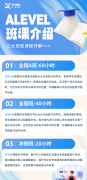 犀牛Alevel課程培訓(xùn)，海內(nèi)外名師授課，直沖大考A*！