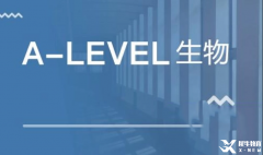 Alevel生物有必要背詞匯嗎?完整版詞匯表免費(fèi)領(lǐng)