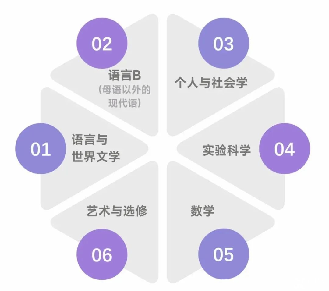 國際學(xué)校春秋招必看！含金量高，難度超模，IB課程該不該選？