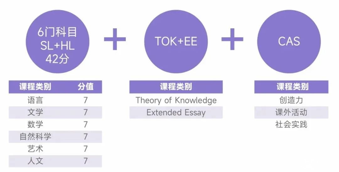 國際學(xué)校春秋招必看！含金量高，難度超模，IB課程該不該選？