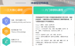 IBDP選課如何選？國際課程專業(yè)老師1V1建議指導(dǎo)！