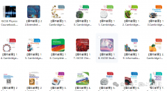 IGCSE課程是什么：國(guó)際教育“黃金跳板”，如何助力孩子沖擊世界名校?