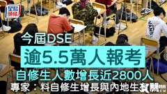 DSE考試培訓(xùn)輔導(dǎo)課程！