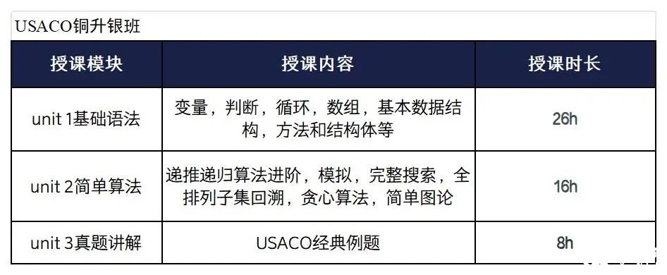 美國計算機競賽USACO沖金培訓輔導課程
