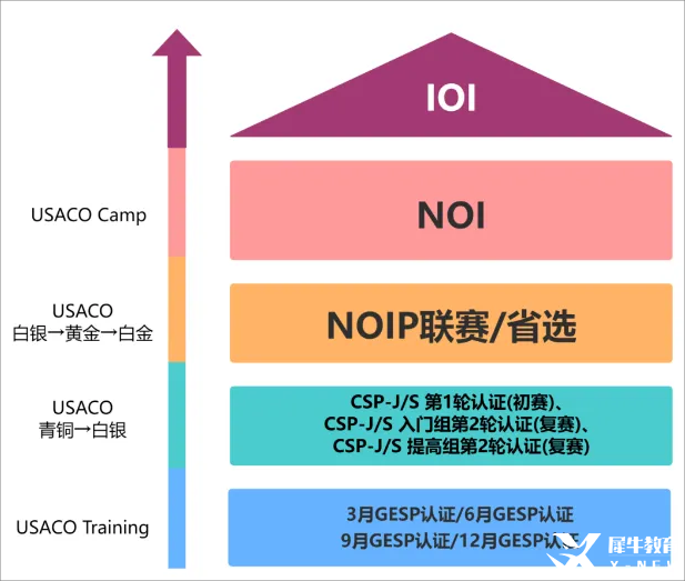 【一文講清USACO競賽】國際生必看的計算機奧賽USACO深度解析！機構USACO暑期集訓營助你沖刺名校!