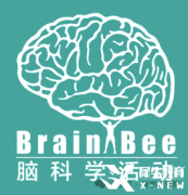Brain Bee腦科學大賽是什么?為什么推薦低齡學生參加？考察內(nèi)容與備考方法