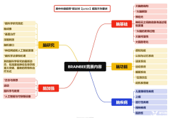 BrainBee競(jìng)賽考察哪些知識(shí)點(diǎn)？適合幾年級(jí)學(xué)生參加？