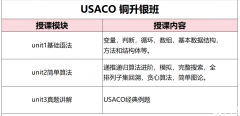 USACO銅升銀/銀升金/金升鉑金競(jìng)賽培訓(xùn)，暑期多種班型任選！