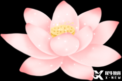 暑假IGCSE課程開課，全國(guó)30+校區(qū)