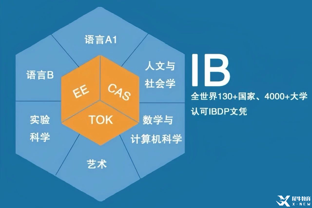 中考后轉(zhuǎn)軌國(guó)際走IB？深挖國(guó)際最難學(xué)科“IB課程”優(yōu)勢(shì)！機(jī)構(gòu)IB暑期班帶你絲滑轉(zhuǎn)軌！