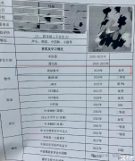 袋鼠數(shù)學(xué)競賽一文講清楚！袋鼠數(shù)學(xué)競賽適合幾年級？