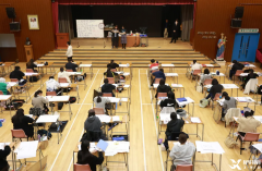 怎樣判斷是否適合DSE？DSE錄取率是多少?