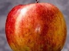 高含金量經(jīng)濟類競賽SIC如何獲獎？